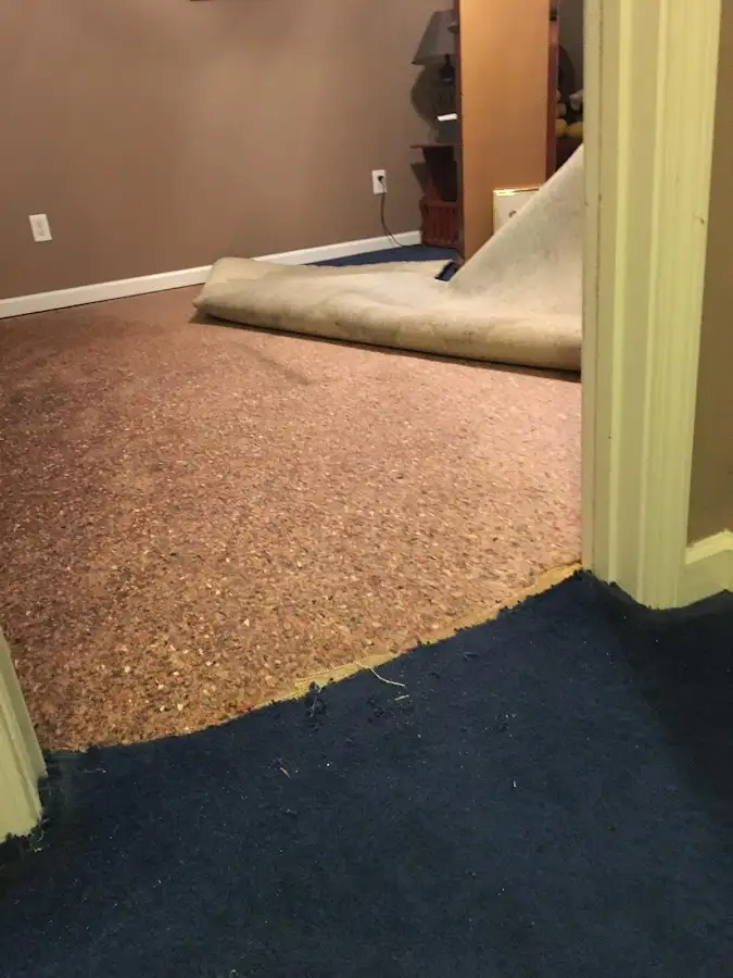 Carpet pad removal revealing water damage during Water Mitigation Services in Millstone
