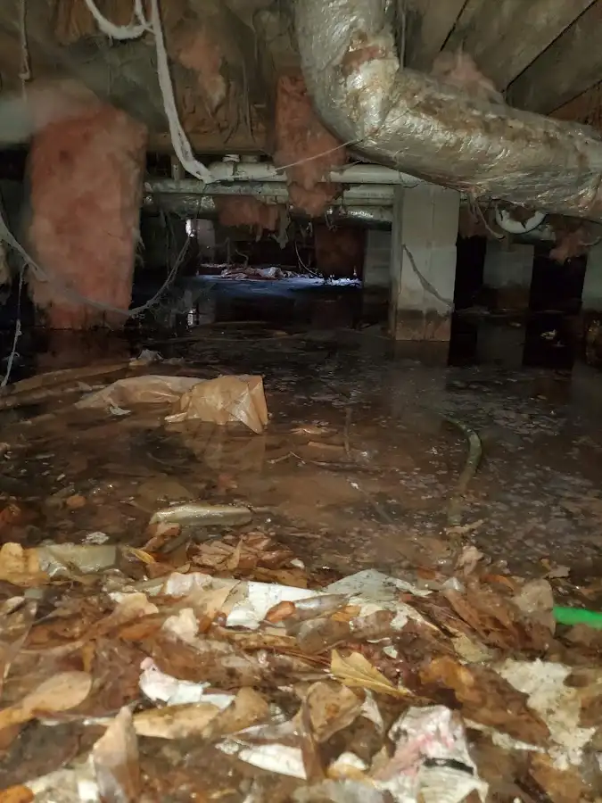 Crawl space flood assessment for Leak Detection & Repair in Millstone