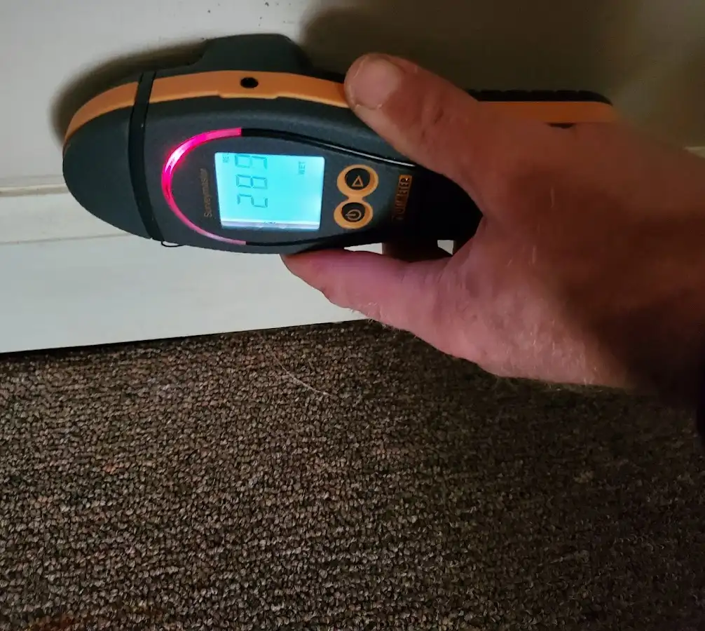 Moisture detection at baseboard during Sewage Cleanup & Sanitation in Millstone